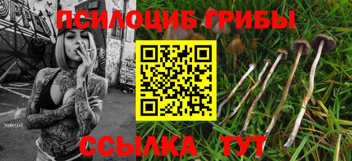 Великие Луки  Галлюциногенные грибы прущие грибы  Вход с VPN 